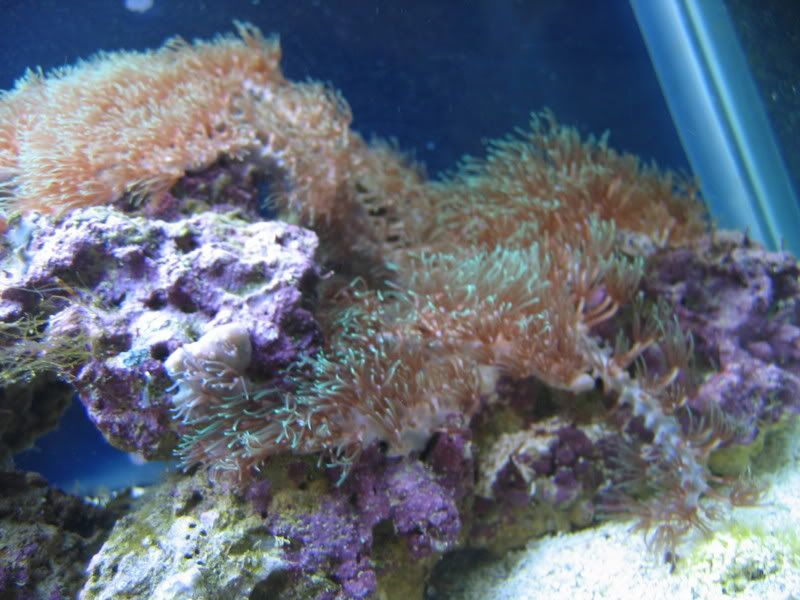 IMG_1163.jpg