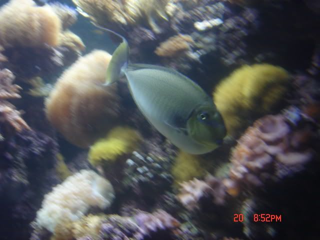 DSC01413.jpg
