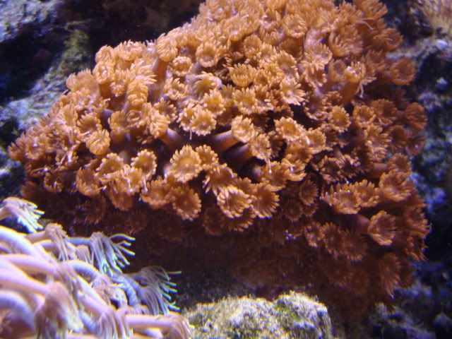 DSC01302.jpg