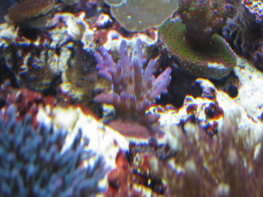 IMG_0233.jpg