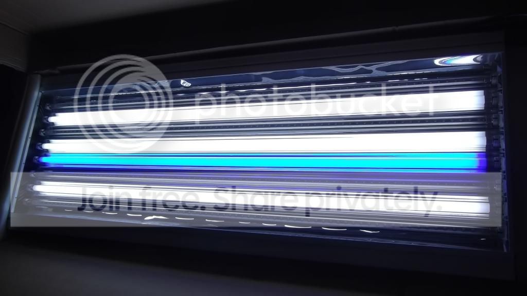 DSCF4405_zpse34d67ca.jpg