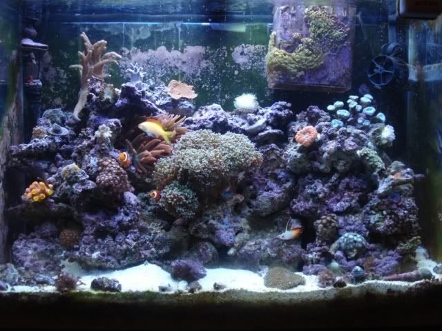 fts.jpg