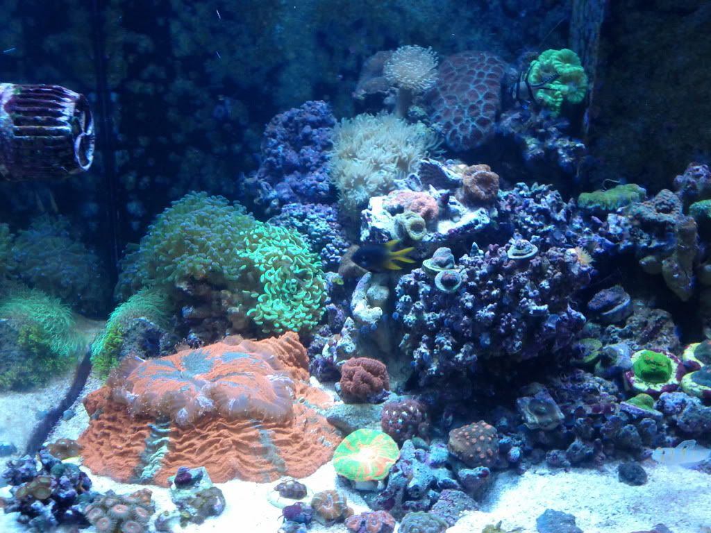 IMG_20110924_193219.jpg