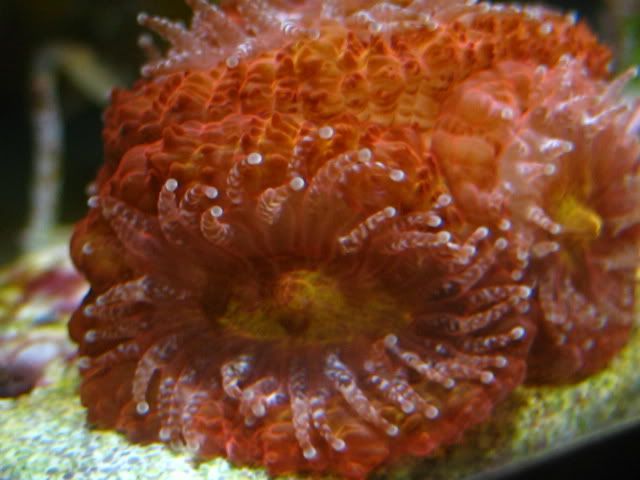 IMG_3273.jpg
