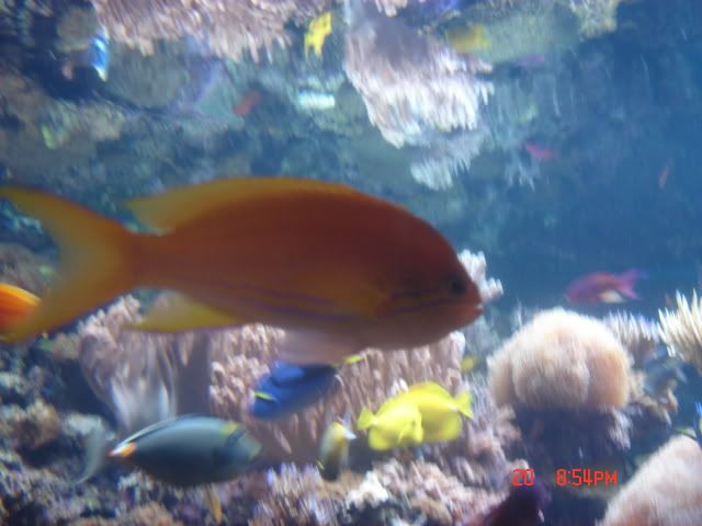 DSC01414.jpg