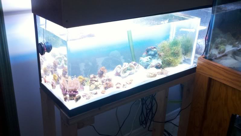 2011-06-15_19-38-33_175.jpg