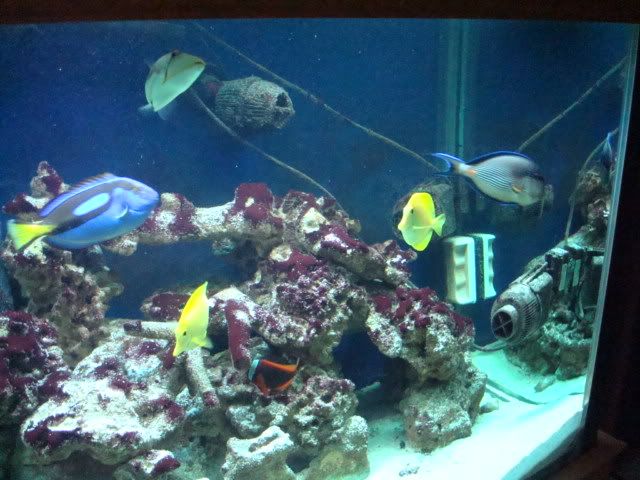 DSC03868.jpg