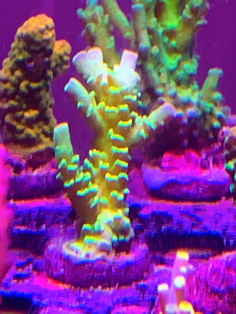 5b78c11339b57b679f0397794b7b191f.jpg