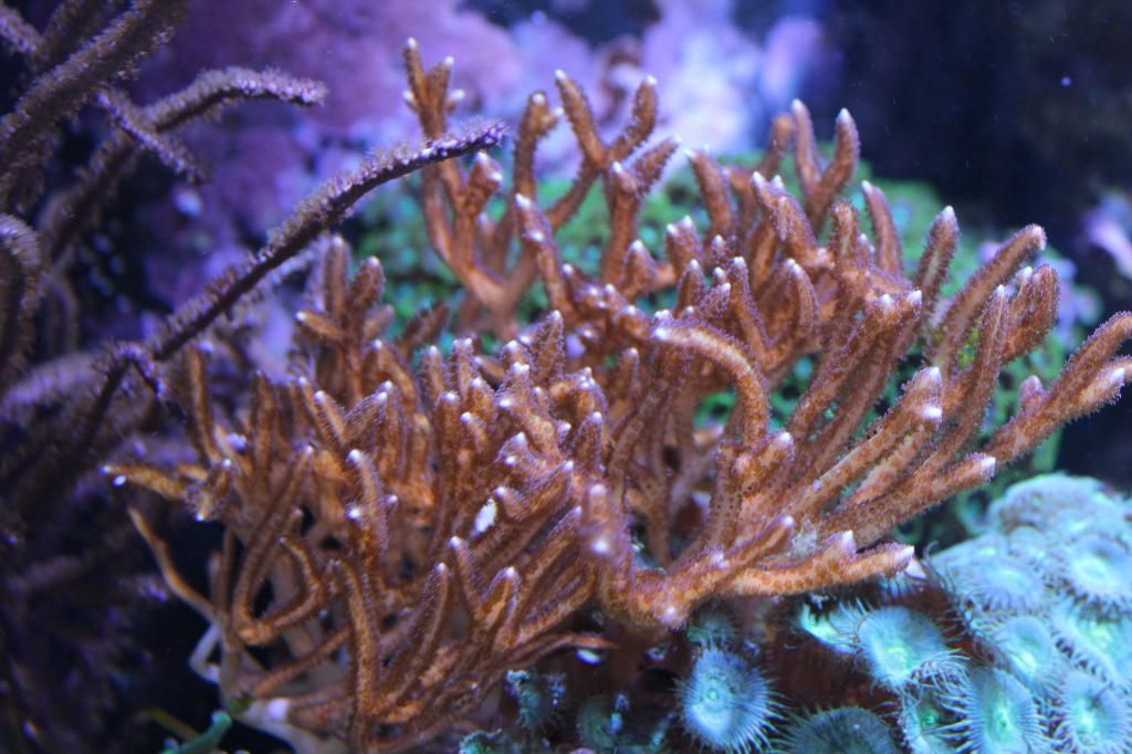 IMG_0055_zpsa7f348c0.jpg