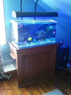 2011-01-09104209.jpg
