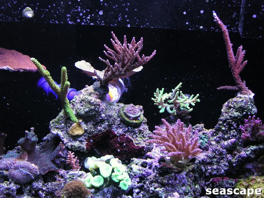 new75g015.jpg