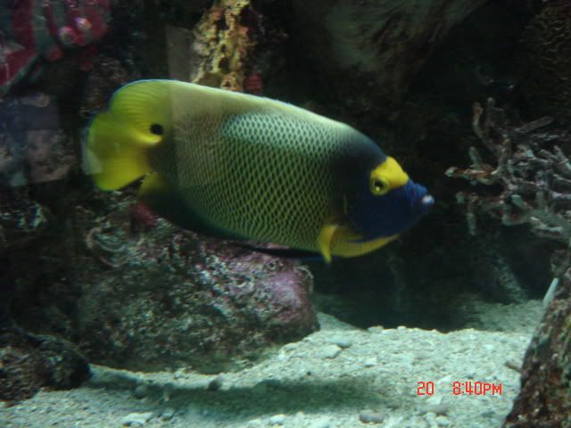 DSC01394.jpg