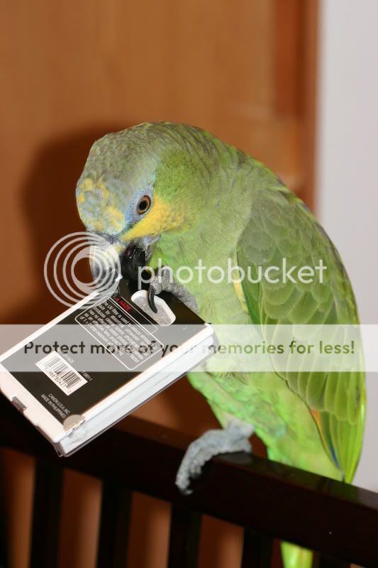 Testpic1002.jpg