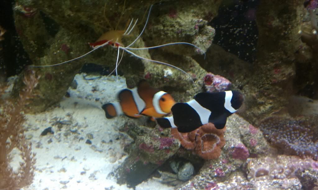 IMAG0335.jpg