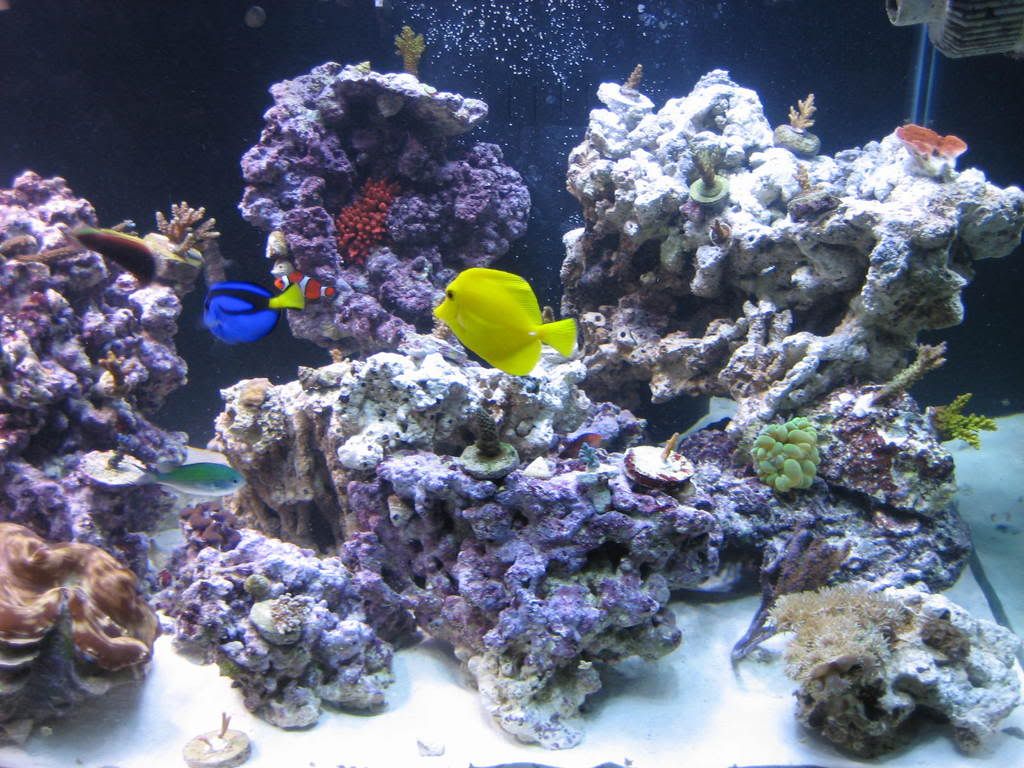 IMG_0430.jpg