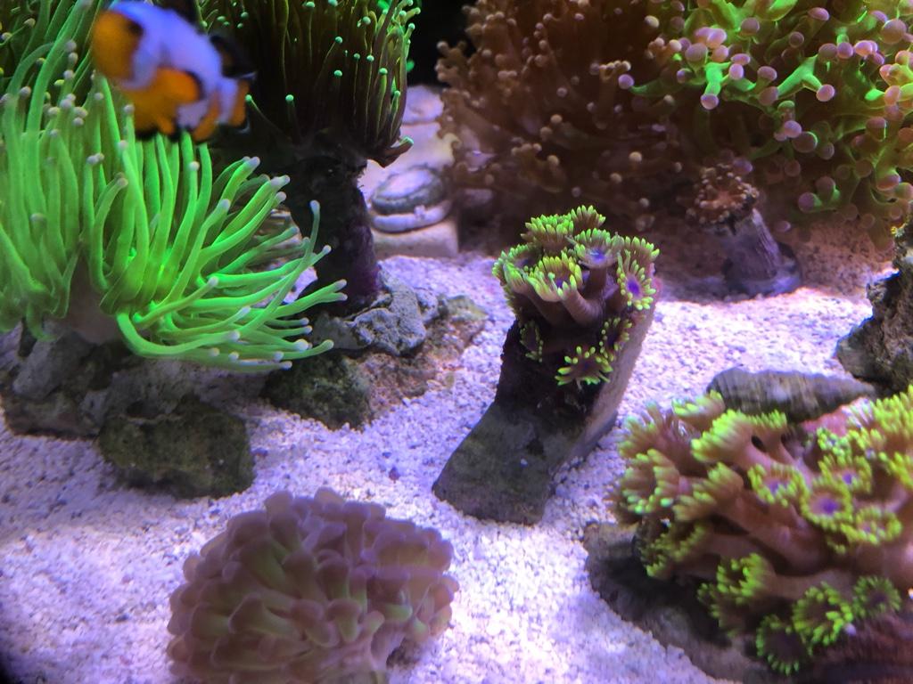 7d1ab95445ac58de3c0731a333faa1bb.jpg