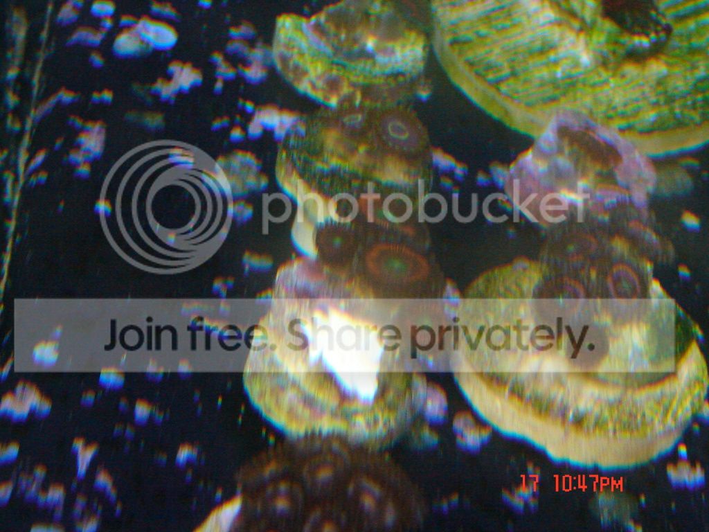 DSC02527.jpg