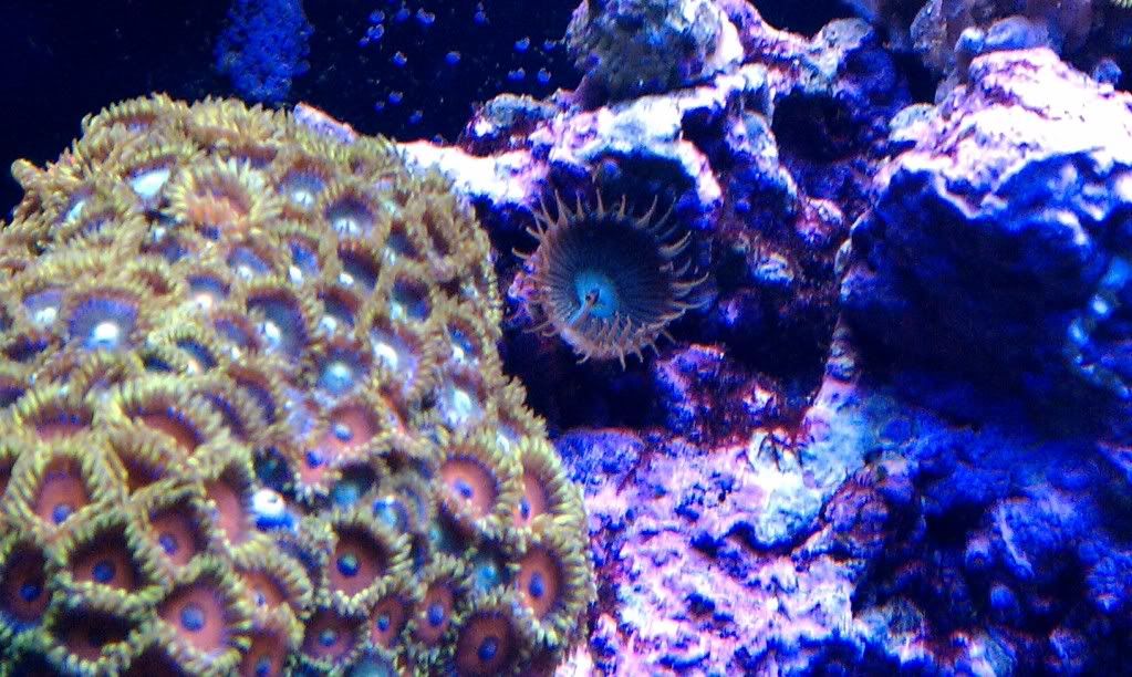 IMAG0045-1.jpg
