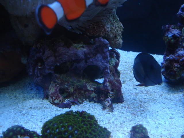DSC03904.jpg