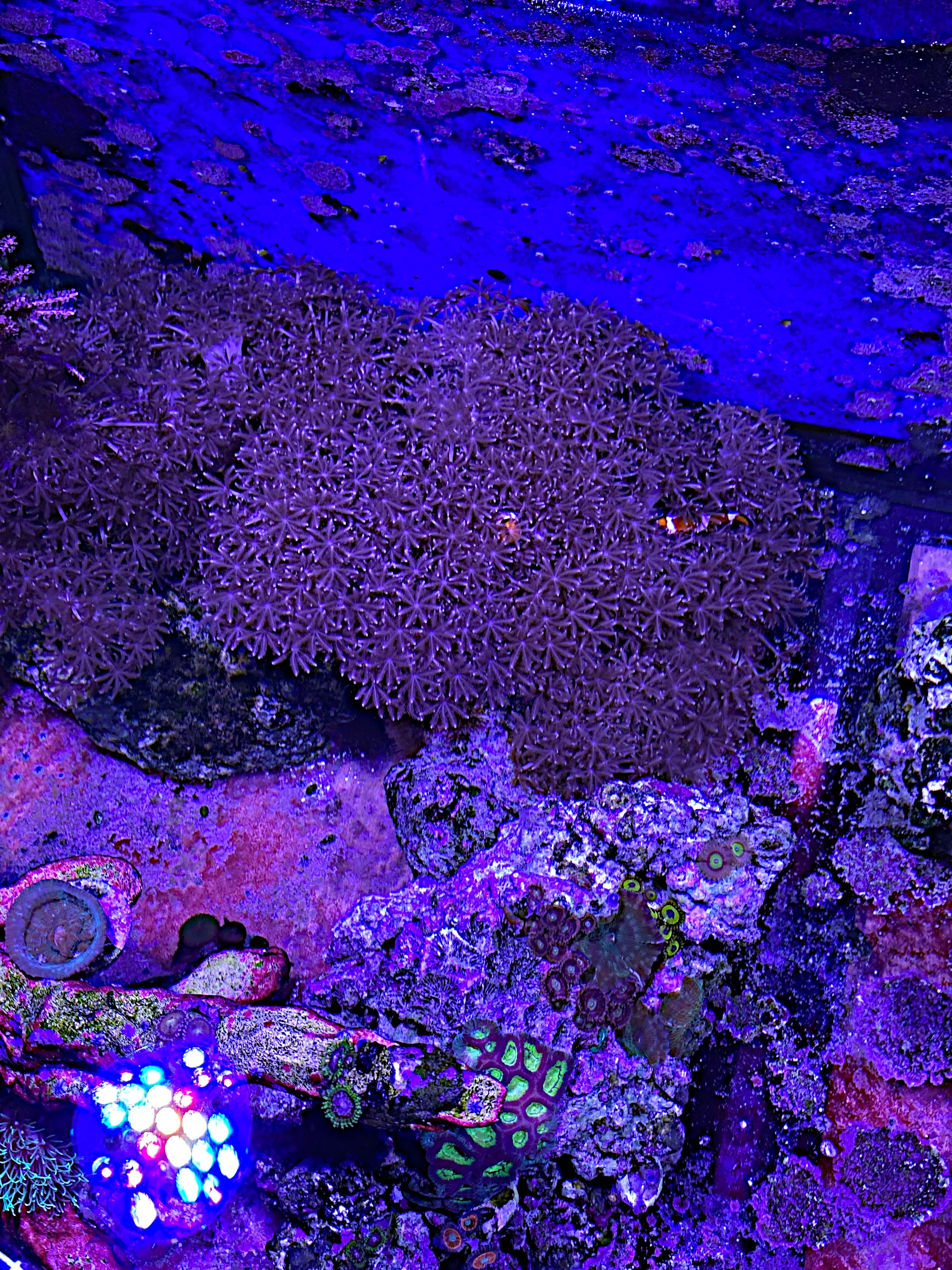 8eb51c20760a7fcf4a590298aaacccf3.plist