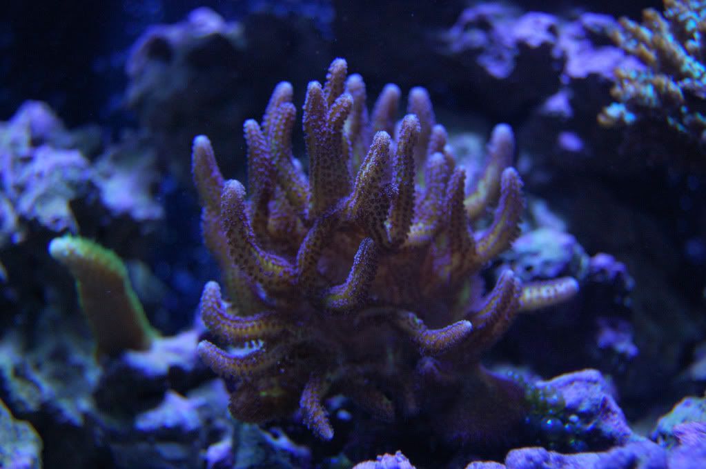 DSC_0128_803.jpg