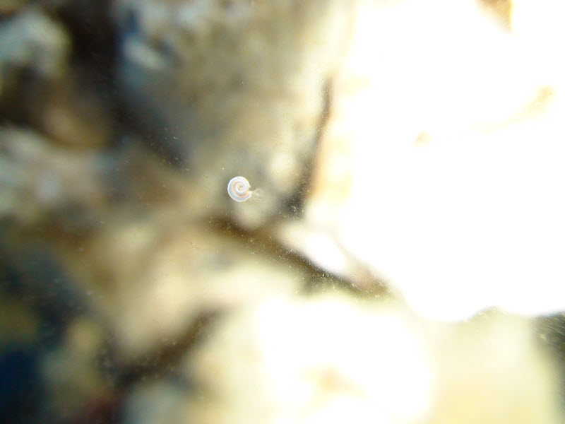 dsc00841.jpg