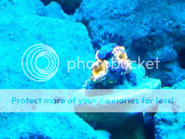 CAM00436.jpg