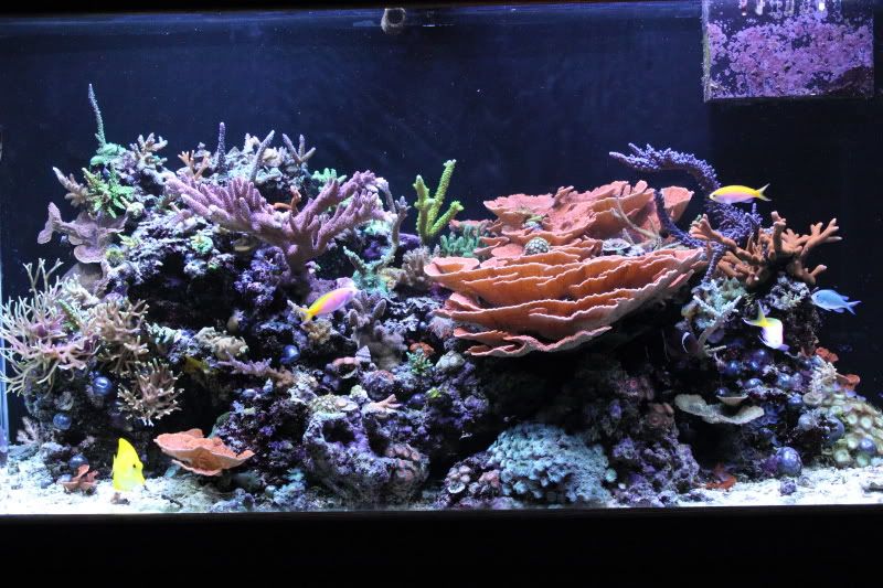 fts7-2-10.jpg