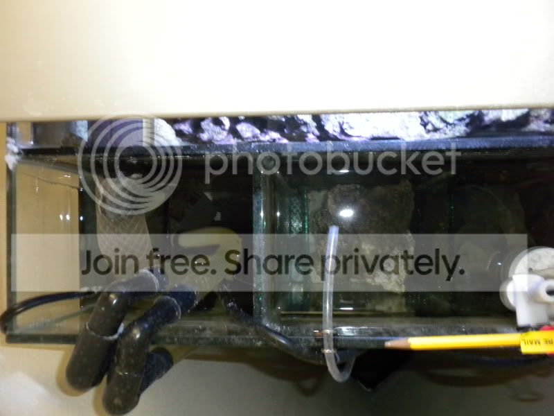 DSCN0436.jpg
