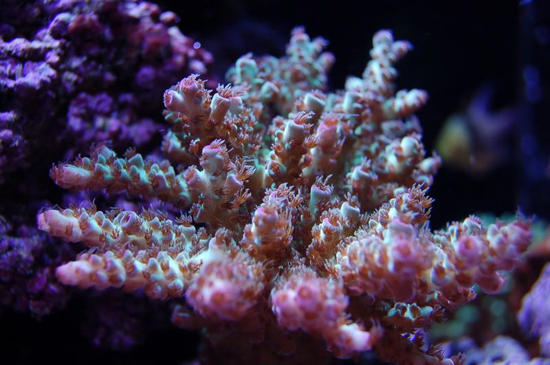 DSC_3795.jpg