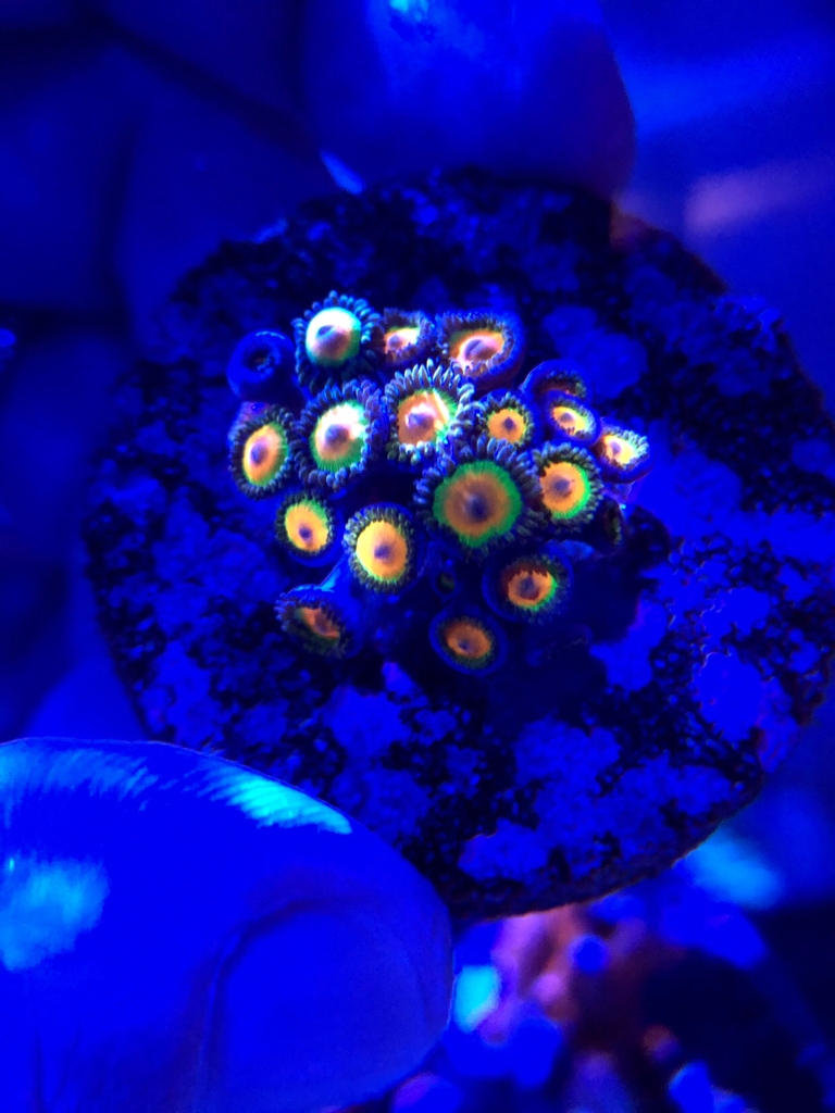 84e0679359fd58c86f2f05d98cac6ddd.jpg