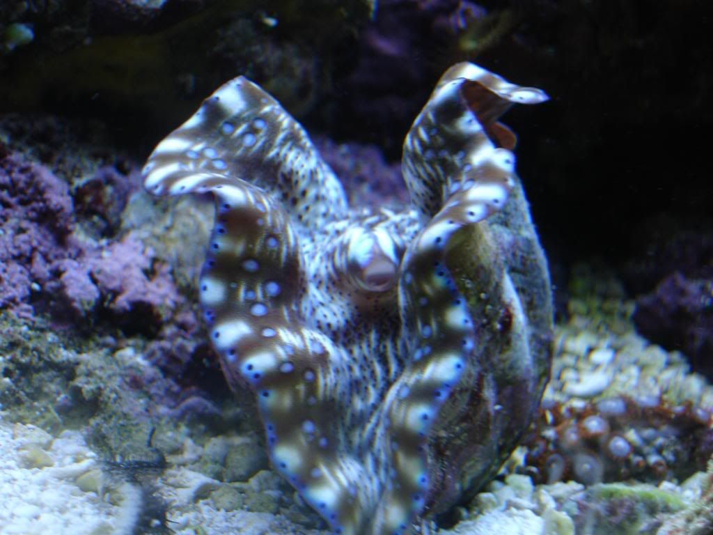 DSC03184.jpg