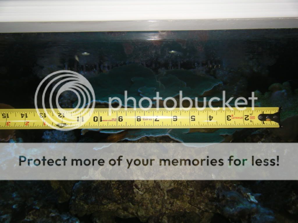 DSCF2590.jpg