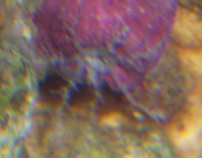closeup.jpg