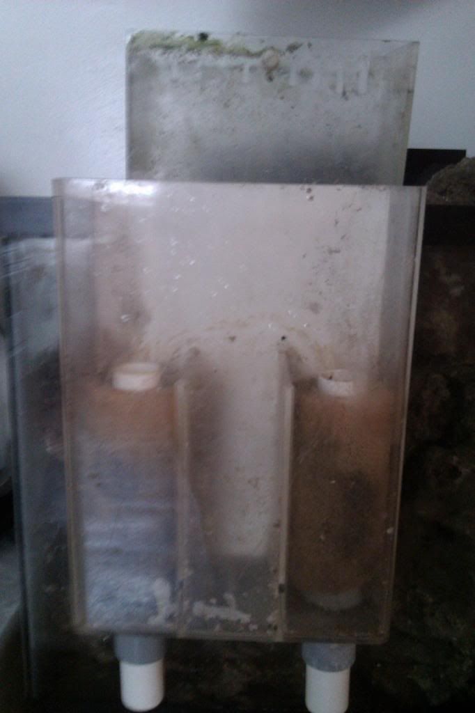 IMAG0360_zpsdd31f1e7.jpg