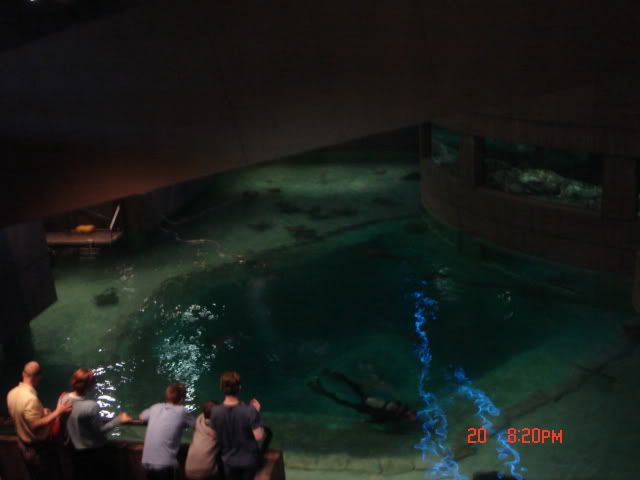 DSC01334.jpg