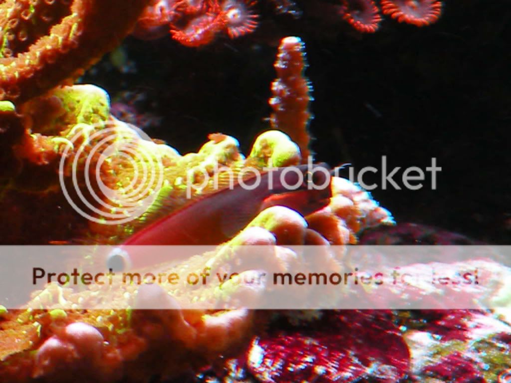 RSCN5380.jpg
