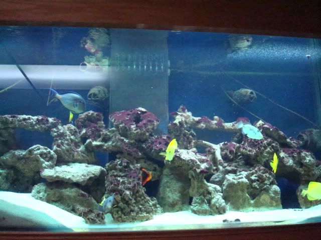 DSC03853.jpg