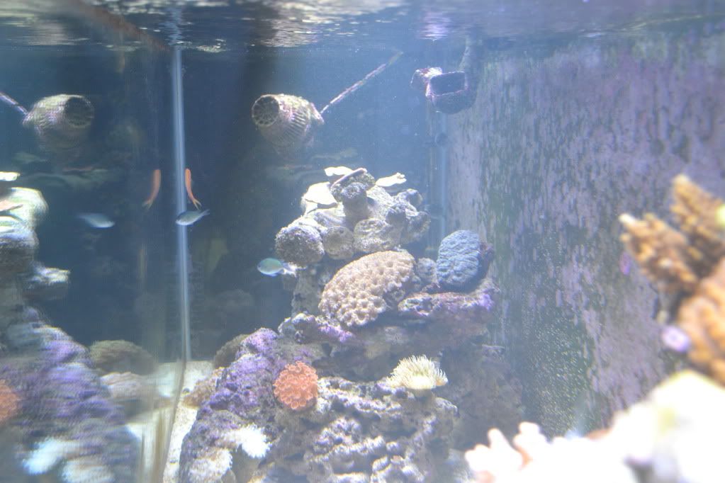 DSC_0032.jpg
