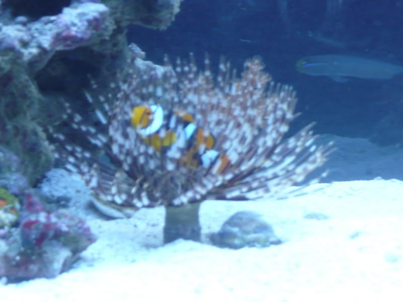 P1080223.jpg