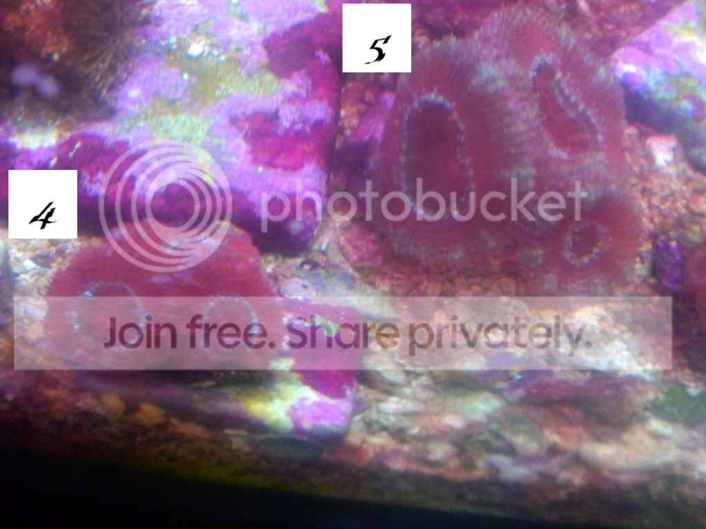 IMG00019-20100216-1734.jpg