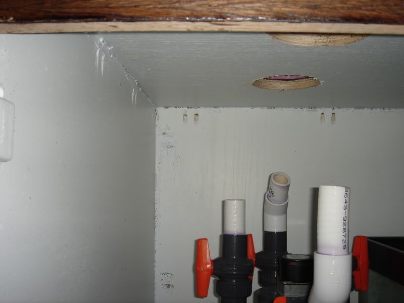 2008_0308100g-square0012.jpg