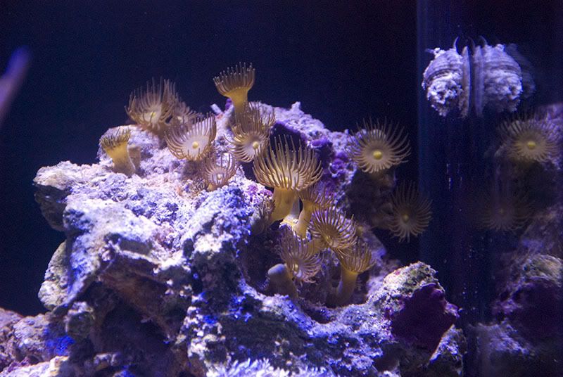 DSC_4400.jpg