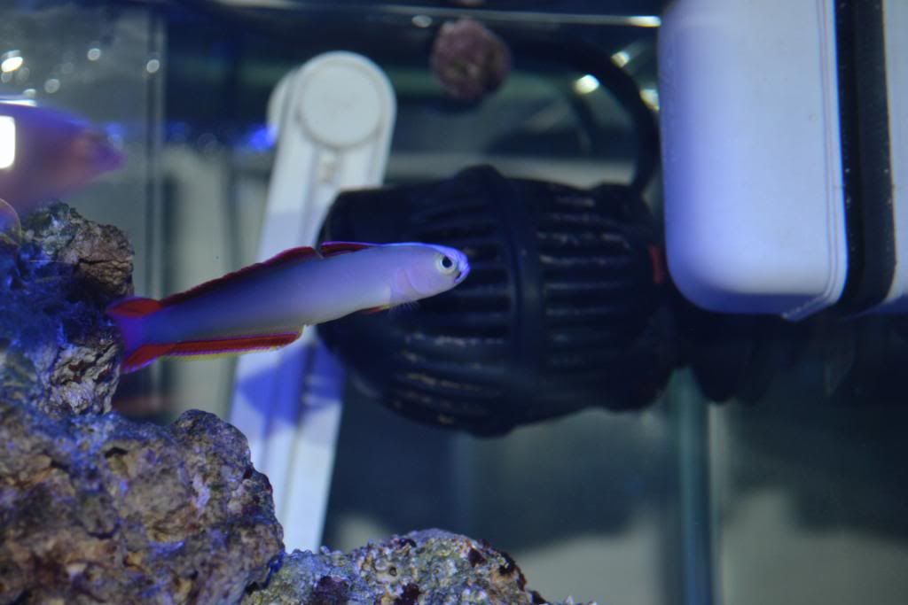 DSC_0022.jpg