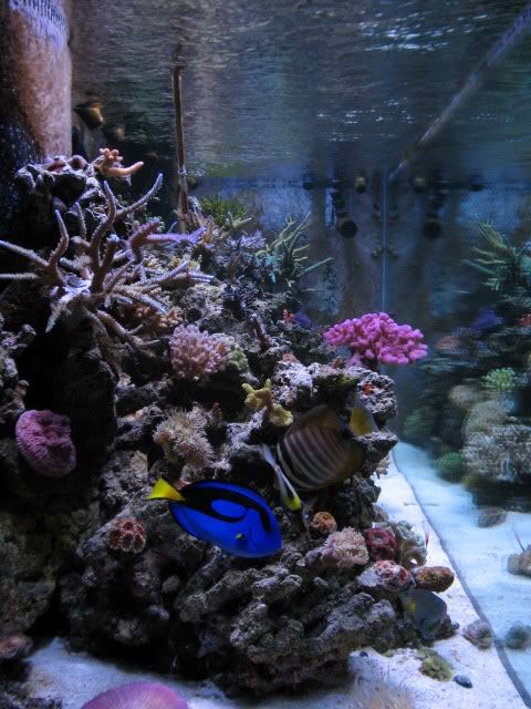 tanksep08013.jpg