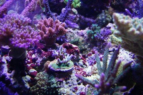 DSC_0040.jpg