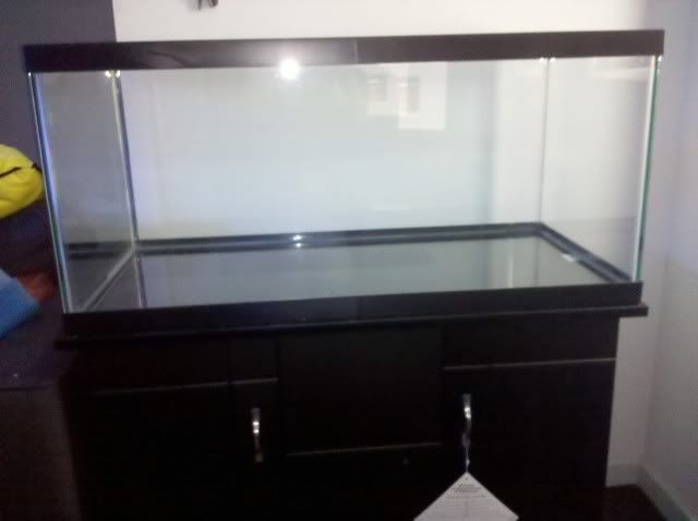 IMG_20110406_153417.jpg