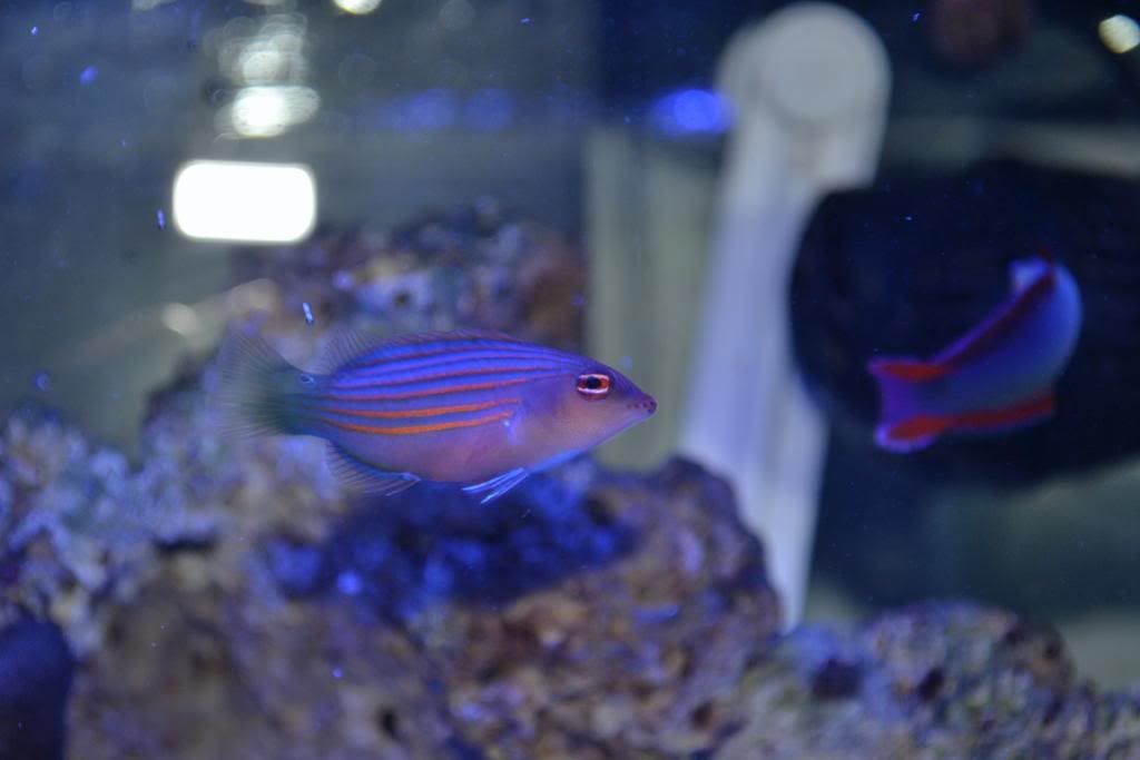 DSC_0026.jpg