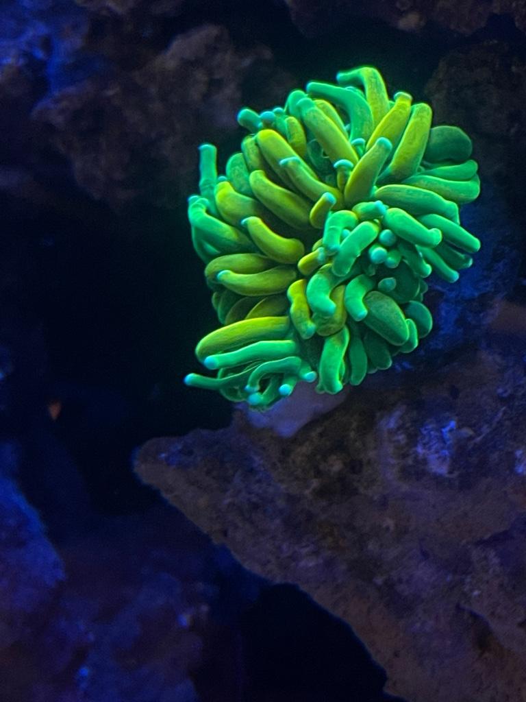947931722ca68c4bef90528a8420f06c.jpg