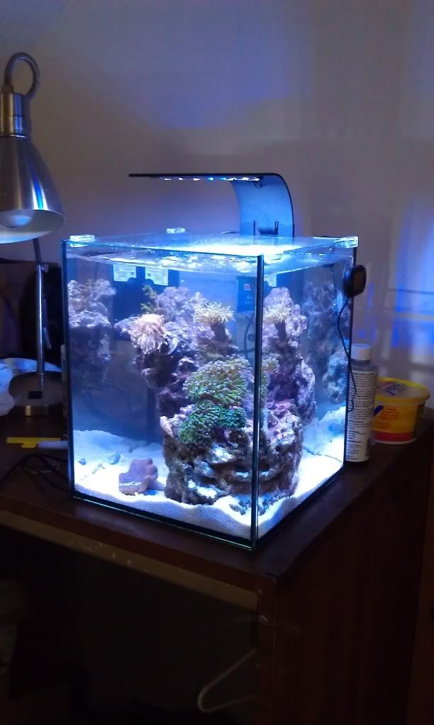 IMAG0446.jpg